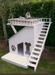'No Catz Allowed' Dog Treehouse