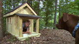 'No Catz Allowed' Dog Treehouse